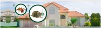 Residential Pest Control Brisbane image 1